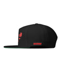 NE-Heart snapback
